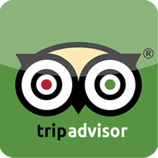 tripadvisor_mobile